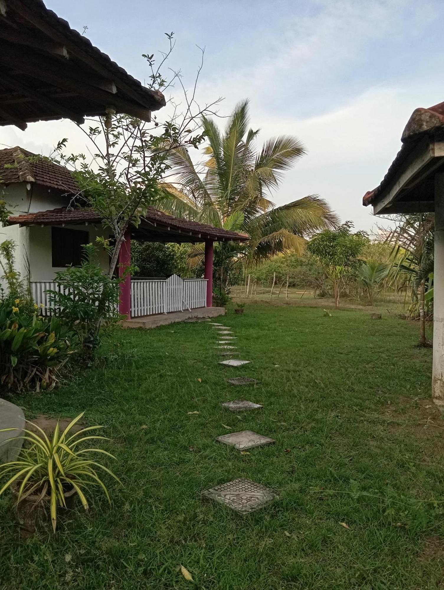 Sunshine Cafe Apartment Tangalle Exterior photo
