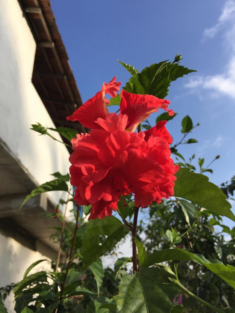 Sunshine Cafe Apartment Tangalle Exterior photo